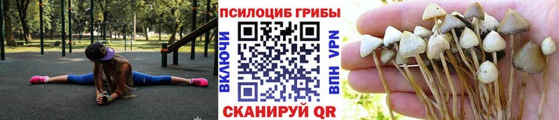 kraken маркетплейс  где купить   Раменское  Псилоцибиновые грибы прущие грибы 